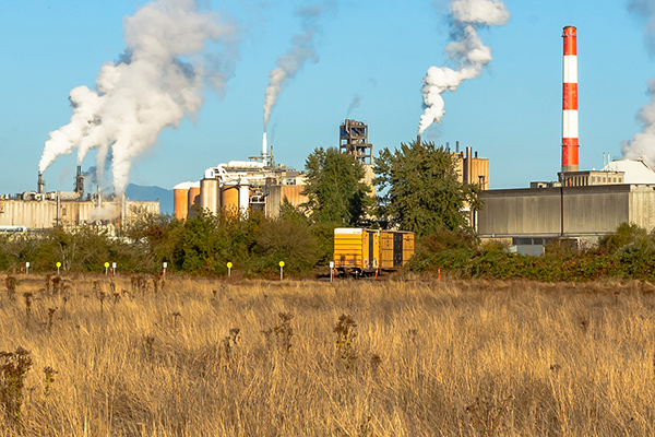 Chlorine Equipment Audit Case Study
